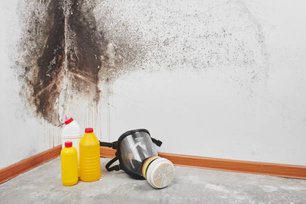 Best Residential Mold Remediation in Jones, OK