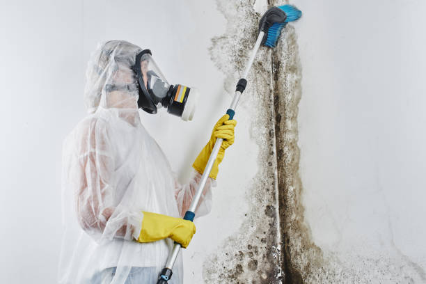 Best HVAC Mold Remediation in Jones, OK