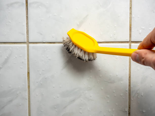 Best Preventive Mold Services in Jones, OK