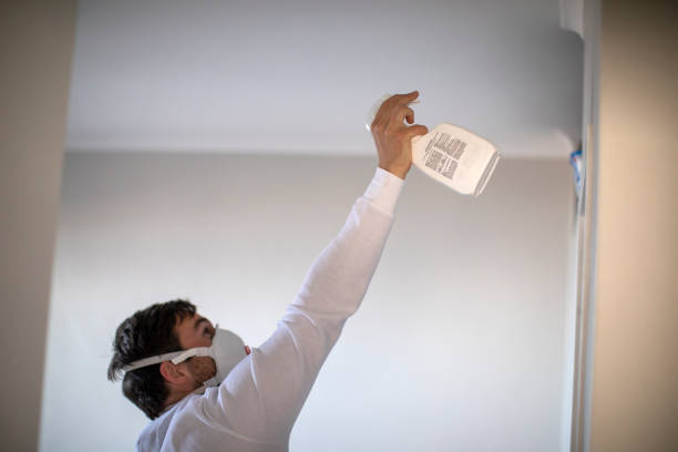 Professional Mold Remediation in Jones, OK