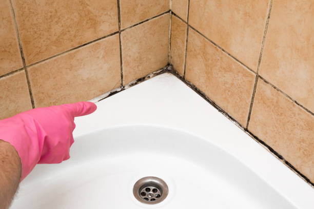Best Localized Mold Remediation (e.g., coastal areas, humid climates) in Jones, OK